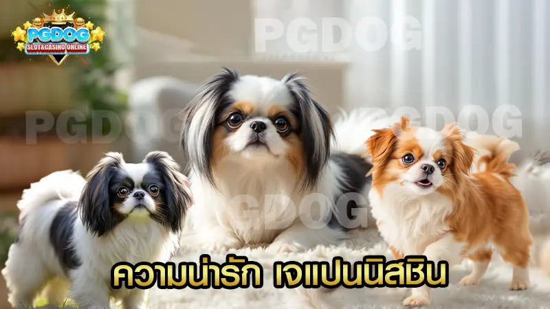 ความน่ารัก เจแปนนิสชิน