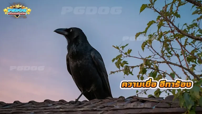 ความเชื่อ อีการ้อง