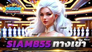 siam855 ทางเข้า
