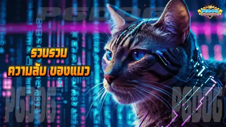 รวบรวม ความลับ ของแมว