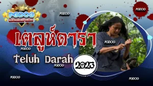 รีวิว เตลูห์ดารา