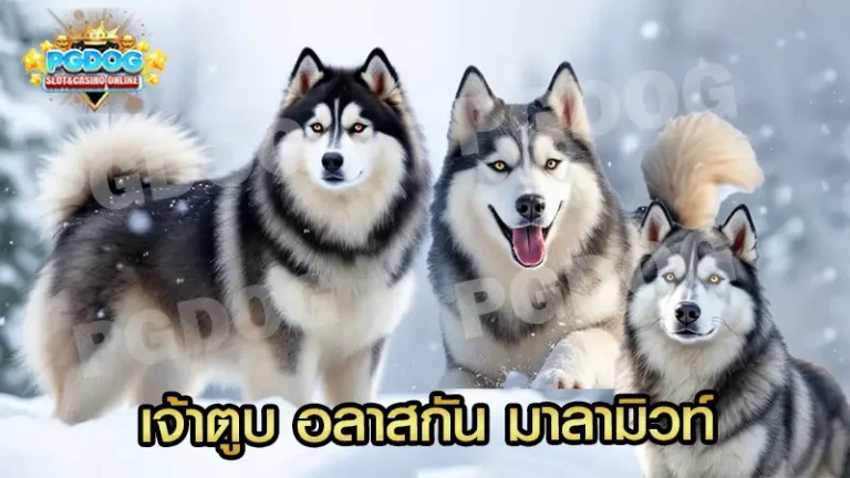 เจ้าตูบ อลาสกัน มาลามิวท์