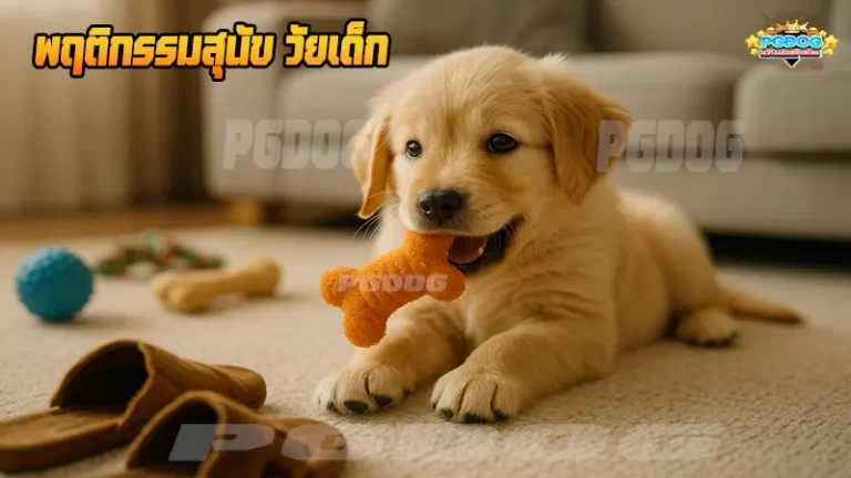 พฤติกรรมสุนัข วัยเด็ก