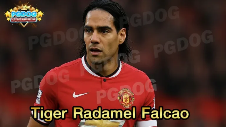Tiger Radamel Falcao