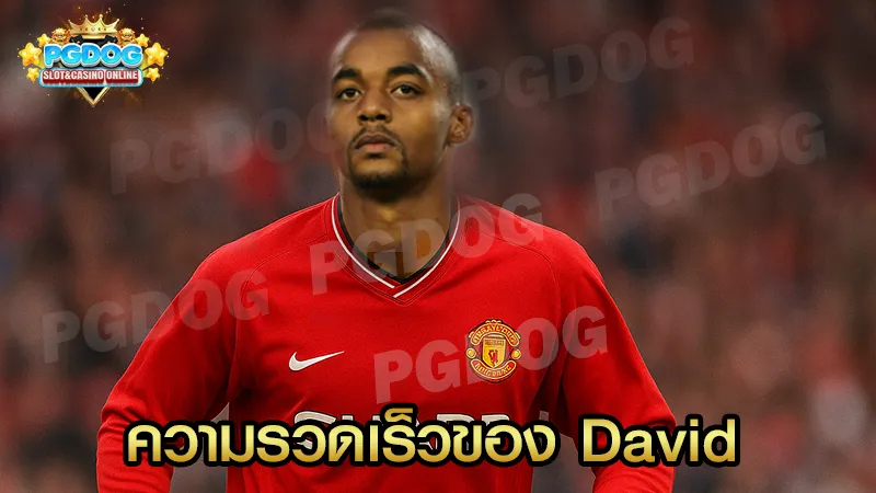 ความรวดเร็วของ David