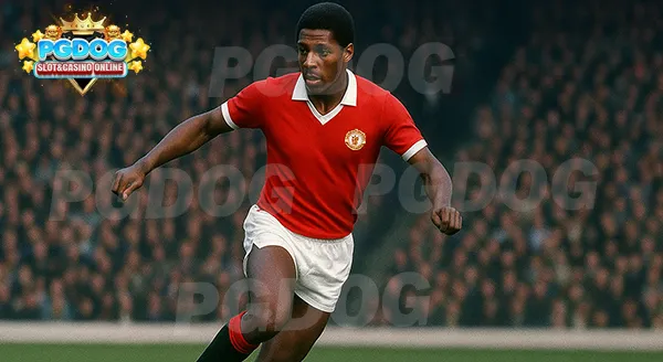 จุดเด่นของ Viv Anderson