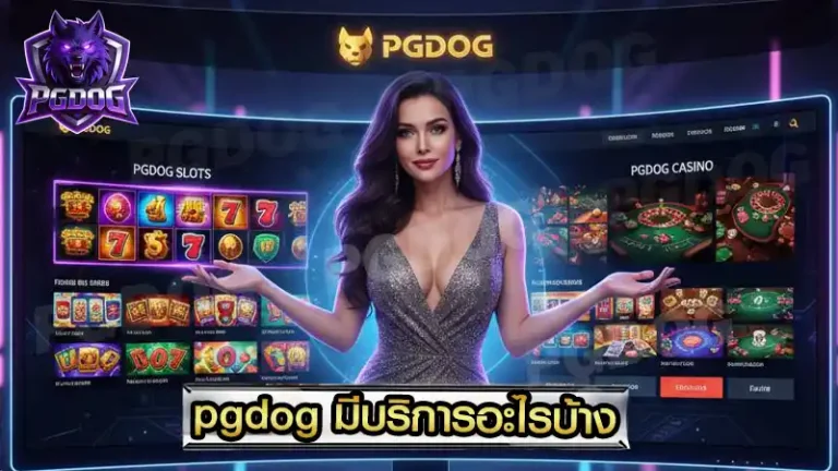 pgdog มีบริการอะไรบ้าง