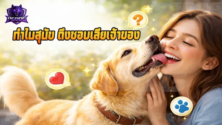 ทำไมสุนัข ถึงชอบเลียเจ้าของ