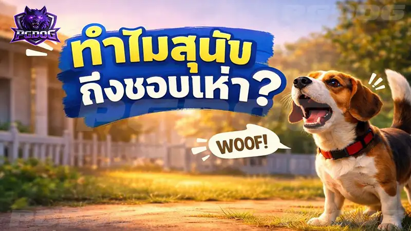 ทำไมสุนัข ถึงชอบเห่า
