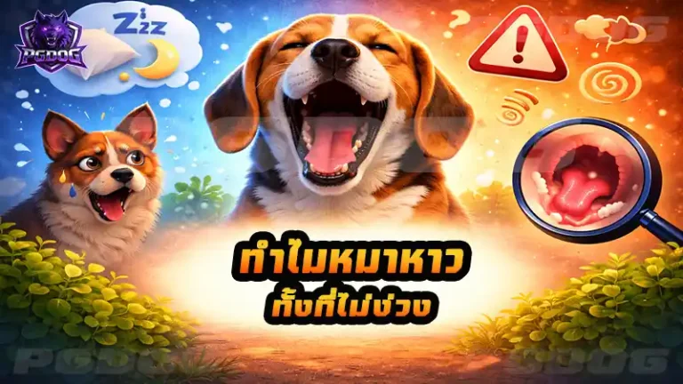 ทำไมหมาหาว ทั้งที่ไม่ง่วง