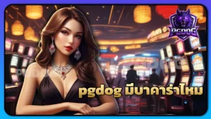 pgdog มีบาคาร่าไหม