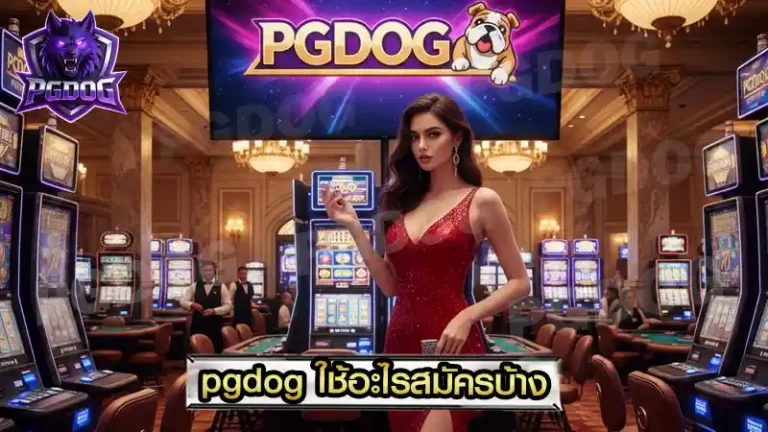pgdog ใช้อะไรสมัครบ้าง