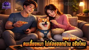 คนเลี้ยงหมา ไม่ค่อยออกบ้าน จริงไหม