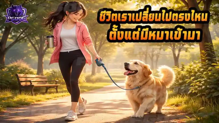 ชีวิตเราเปลี่ยนไปตรงไหน ตั้งแต่มีหมาเข้ามา