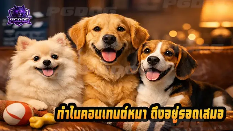 ทำไมคอนเทนต์หมา ถึงอยู่รอดเสมอ