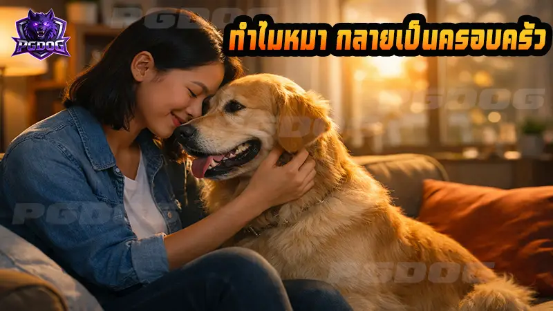 ทำไมหมา กลายเป็นครอบครัว