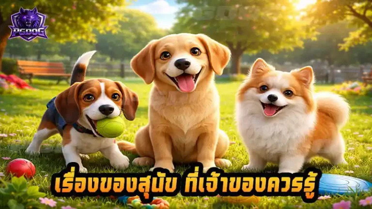 เรื่องของสุนัข ที่เจ้าของควรรู้