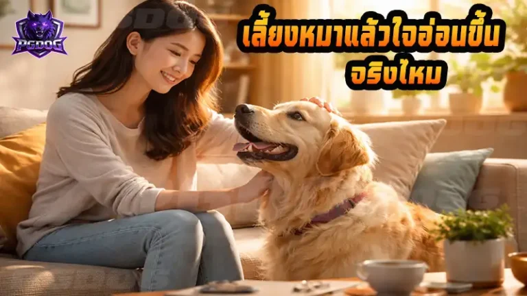 เลี้ยงหมาแล้วใจอ่อนขึ้น จริงไหม