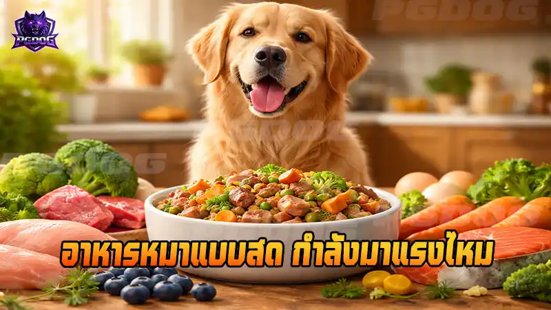 อาหารหมาแบบสด กำลังมาแรงไหม