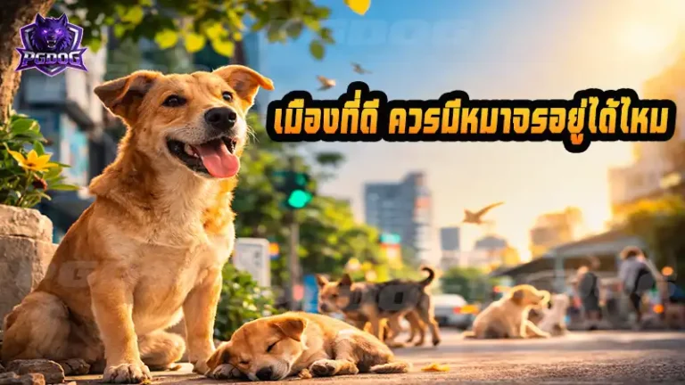 เมืองที่ดี ควรมีหมาจรอยู่ได้ไหม