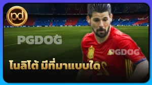โนลิโต้ มีที่มาแบบใด