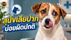 สุนัขเลียปาก บ่อยผิดปกติ