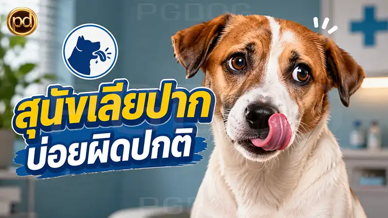 สุนัขเลียปาก บ่อยผิดปกติ