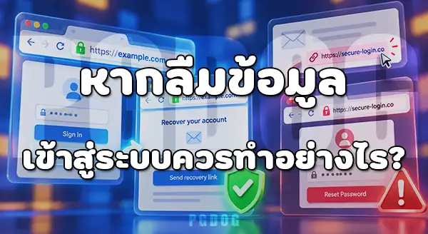 ด๊อกกี้สล็อต ทางเข้า