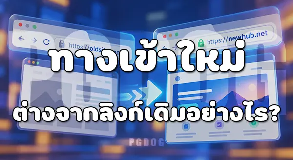 ด๊อกกี้สล็อต ทางเข้า