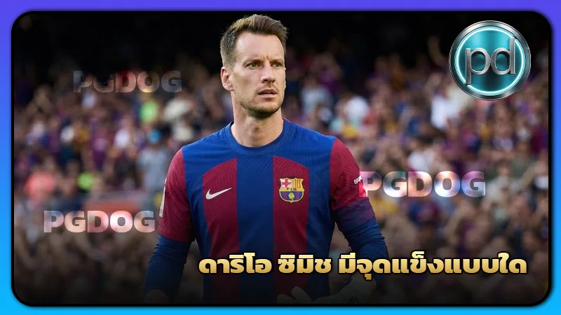 เนโต มีที่มาอย่างไร